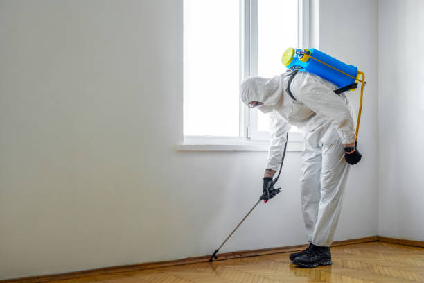 Real Estate Pest Inspections in Manning, IA